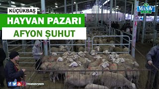 Hayvan Pazarı Afyon Şuhut  Küçükbaş Hayvan Pazarı [upl. by Amalia]