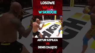 Artur Szpilka VS Denis Załęcki  W Skrócie shorts arturszpilka deniszałęcki famemma walka [upl. by Thetos895]