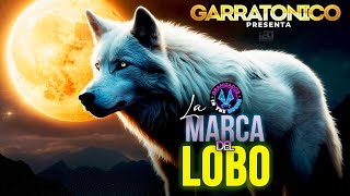 “La Marca Del Lobo”🐺 “Garratonico” The Zona Shop” [upl. by Emelin235]