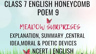 MEADOW SURPRISES  EXPLANATION SUMMARY CENTRAL IDEAMORALamp POETIC DEVICES  CLASS 7 ENGLISH POEM 9 [upl. by Grous]