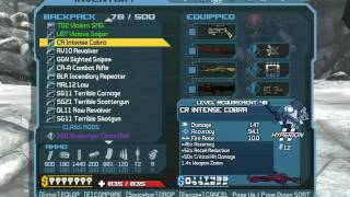 Borderlands Inventory Glitch [upl. by Ulane]