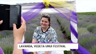 Lavanda vedeta unui festival  LITORAL TV [upl. by Mavra]