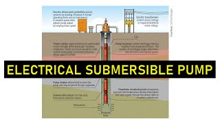 PE Electrical Submersible Pump [upl. by Godrich]