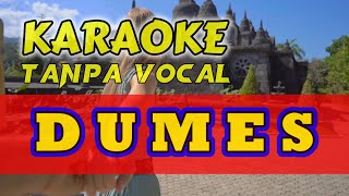 DUMES KARAOKE [upl. by Kathlin]