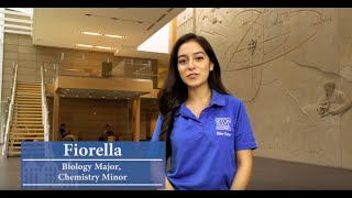 Seton Hall Campus Video Tour [upl. by Anurag]