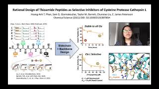 Rational Design of Thioamide Peptides as Selective Inhibitors of Cysteine Protease Cathepsin L [upl. by Bathsheba]