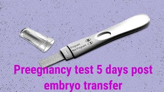 5 days post embryo transfer  5DP 6DT pregnancy test [upl. by Elisabet78]