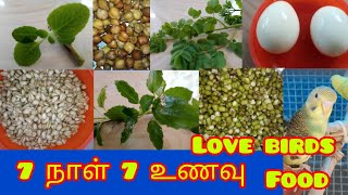 love birds food list Tamil [upl. by Lymn]