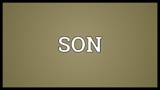 SON Meaning [upl. by Aisnetroh]