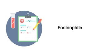 Eosinophile Differentialblutbild  Laborwerte  Blutbild [upl. by Aivle]