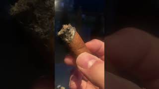 Cohiba Siglo IV Final Third Review [upl. by Kirat82]