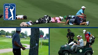 Craziest moments from 2023 on the PGA TOUR [upl. by Eynobe]