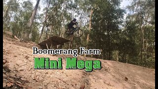 Boomers Mini Mega Full edit [upl. by Harlene]