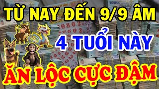 NGHÈO KHỔ Thế Đủ Rồi 4 Con Giáp Bất Ngờ Được Thần Tài Chiếu Cố TRÚNG SỐ Liên Tục Từ Nay đến 99 Âm [upl. by Hankins]