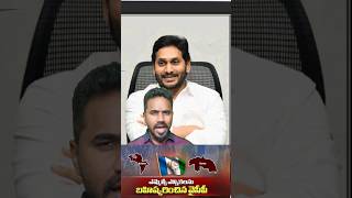 YCP Boycotts MLC Elections ysjagan appolitics CBN pawankalyan mlc election shorts tdp news [upl. by Rialb]