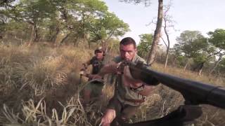 Mauser 98 Magnum  chasses aux phacos au Mozambique [upl. by Sarajane863]