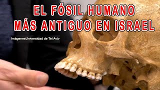 Nuevos Hallazgos de quotHomo Sapiensquot quotlos humanos más antiguosquot quot50000 años más antiguo Homo sapiensquot [upl. by Broeker]