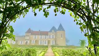 Mystical Château dYquem in Sauternes in Bordeaux [upl. by Anaihsat433]