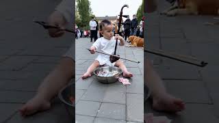 In order to reduce the burden on adults the baby and the dog performed erhu for everyone in the s [upl. by Conley645]