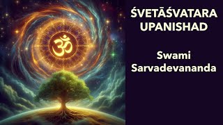 Śvetāśvatara Upanishad 316318 Swami Sarvadevananda [upl. by Clara]