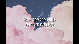 Iris Goo goo dolls slow reverb LYRICS [upl. by Dulsea]