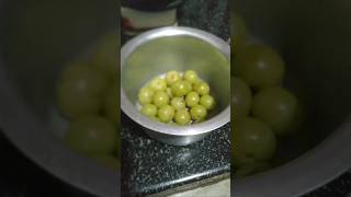 Winter Special Super Healthy Gooseberries Recipe  amla pickle winterrecipe winterspecial sardi [upl. by Ahsirtal581]