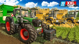 LS22 Beginn der XXLRübenernte  XXL Farm 2 1  FARMING SIMULATOR 22 [upl. by Ennahs]