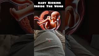 Baby Kicking Inside The Womb subscribe baby pregnancy pregnant fetaldevelopment [upl. by Ahterahs262]