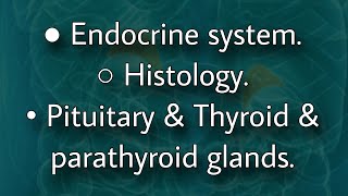 Endocrine histology  pituitary amp thyroid amp parathyroid glands [upl. by Avevoneg]