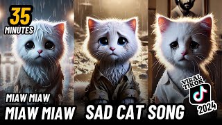 35 Minutes Miaw miaw miaw miaw Viral Song sad in Tiktok 2024😭 cat aicat catlover [upl. by Odarbil805]