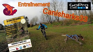 Entrainement Canisharks33 [upl. by Kirred]