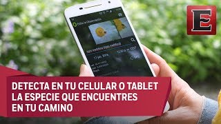 Natutalista la app para aprender de plantas y animales [upl. by Heyra140]