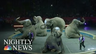 The End Of Ringling Bros And Barnum amp Bailey Circus  NBC Nightly News [upl. by Ennaegroeg]