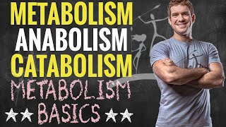 Metabolism Anabolism and Catabolism [upl. by Weitzman564]