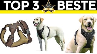 Hundegeschirr Test 2024 💎 TOP 3 beste Hundegeschirr [upl. by Halley521]