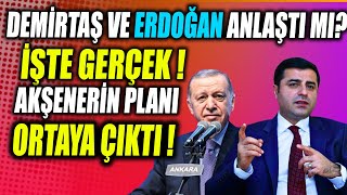 Demirtaş Ve Erdoğan Anlaştı Mı Akşenerin Planı Ortaya Çıktı [upl. by Eidnam]