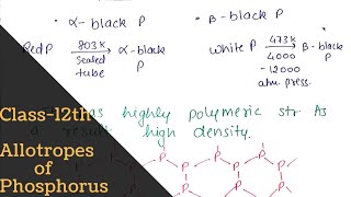 Allotropes of phosphorus  full concept   p block Elements  Class12th  Bharat Panchal [upl. by Allanson]