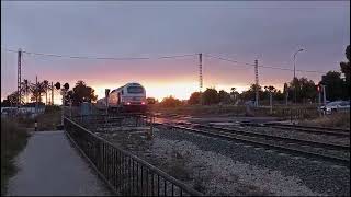 334 Renfe Talgo Alicante Madrid cruzándose con Camello Renfe [upl. by Sinnel]