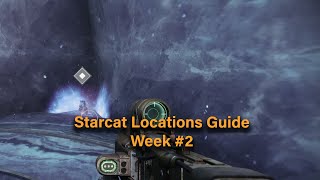 Destiny 2 Season Of The Wish  Familiar Felines Triumph  Starcat Locations Guide Week 2 [upl. by Duwalt]