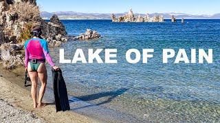 This water will wreck you  Embodying the scuba diving fly at Mono Lake California [upl. by Animehliw263]