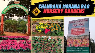 Chandana Mohana Rao Nursery Garden Vizag  CMR Nursery Garden Visakhapatnam  JK Visits [upl. by Kamat]