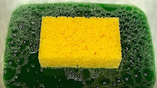 ASMR  THICK DISH SOAP • POROUS SPONGE SQUEEZING • RINSING 🟩🟨 [upl. by Ashil]