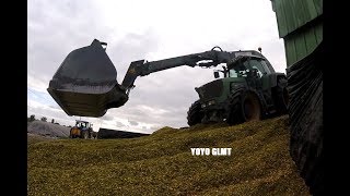 Corn Silage  Ensilage Maïs BEST OF France [upl. by Vitia774]