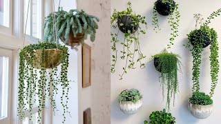 31 EyeCatching Plant Wall amp Hanging Plant Ideas [upl. by Lezned]