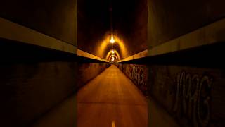 Fernleigh Track Tunnel [upl. by Anaimad]