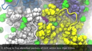 MD simulation of the Ion Channel GLIC Bromoform Binding [upl. by Prader]