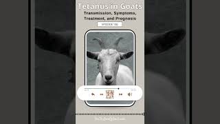 Tetanus in Goats Transmission Symptoms Treatment and Prognosis [upl. by Gardy832]