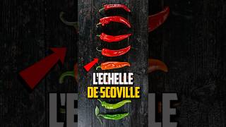 COMMENT FONCTIONNE L’ÉCHELLE DE SCOVILLE [upl. by Airenahs]