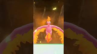 Moltres shiny 3370 resets pokemon pokémon parati moltres pokemonletsgo shinypokemon shiny [upl. by Dlarej]