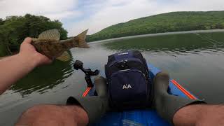 Bed Fishing Aggressive Smallies Moreau Lake 52221 [upl. by Einahpad]